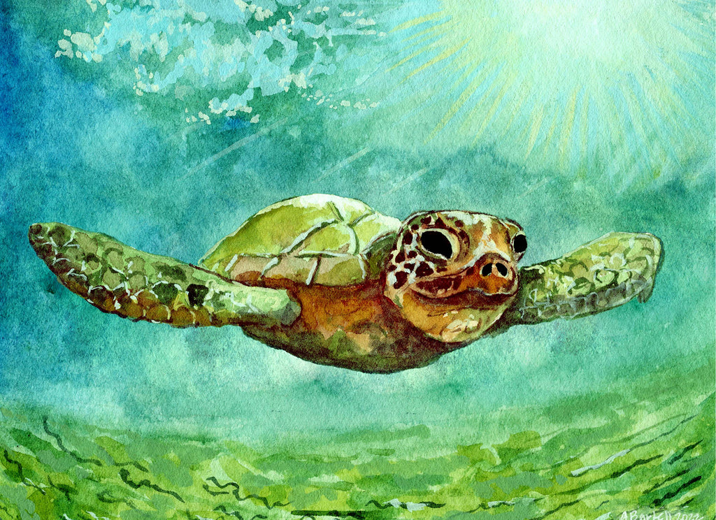 Sea Turtle Notecard