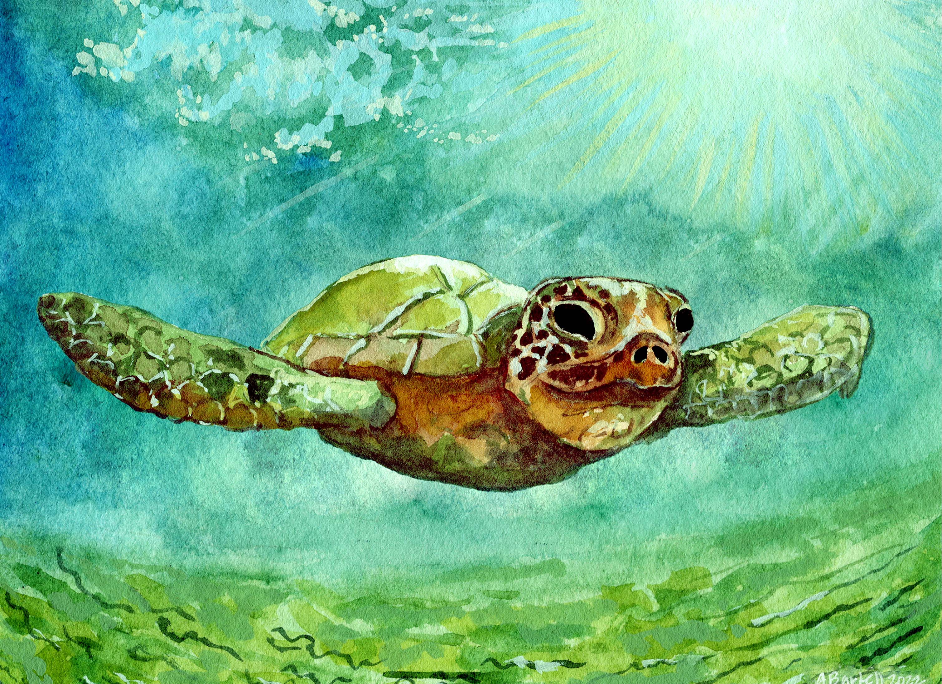 Sea Turtle Notecard